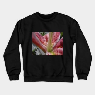 Beautiful photograph of lily flower Crewneck Sweatshirt